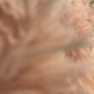 Meet your Posher, Noah